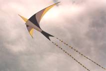 Feuervogel
