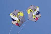 Marsupilami Duett 01