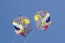 Marsupilami  Duett