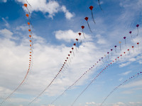 Ohashi 2008 TH02