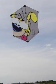 Er fliegt !!!