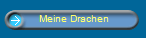 Meine Drachen
