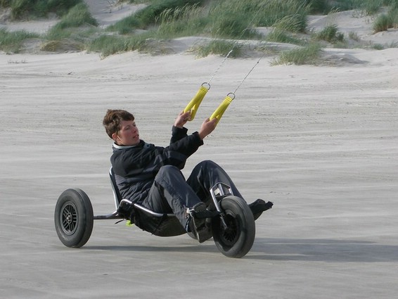 Buggy (001).jpg