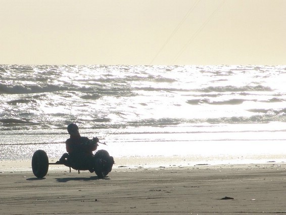 Buggy (004).jpg