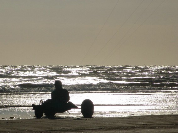 Buggy (005).jpg