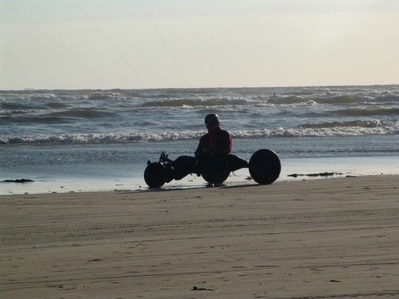 Buggy (006).jpg