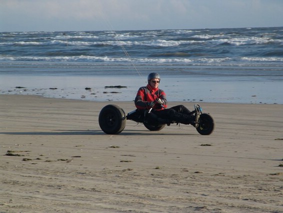 Buggy (008).jpg