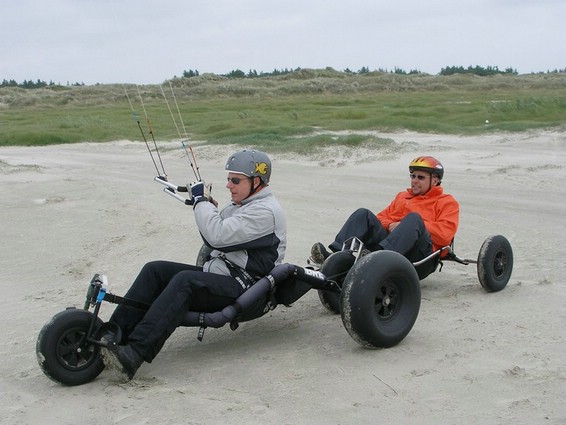 Buggy (011).jpg