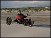 Buggy (002).jpg