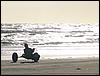 Buggy (004).jpg