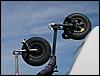 Buggy (016).jpg
