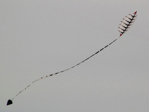 Festival (005).jpg