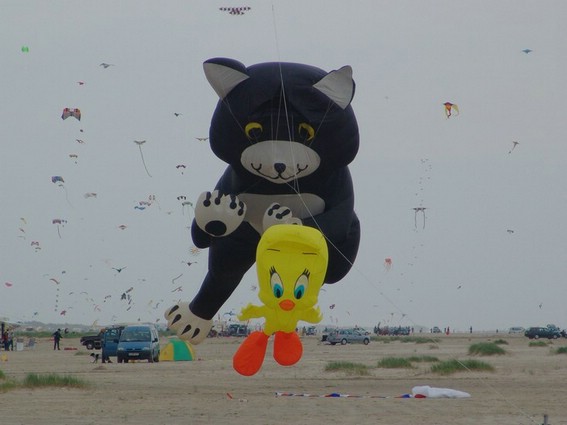 Festival (009).JPG