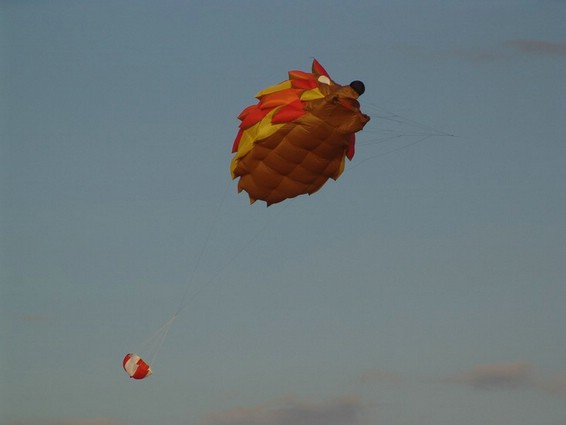 Festival (014).jpg