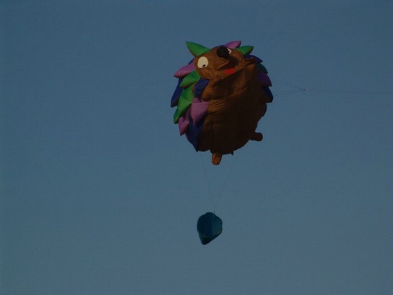 Festival (015).jpg