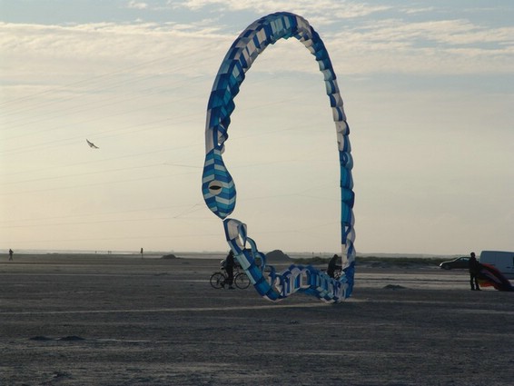 Festival (016).jpg