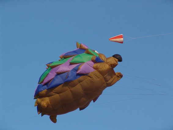 Festival (017).jpg