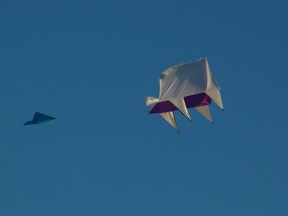 Festival (019).JPG