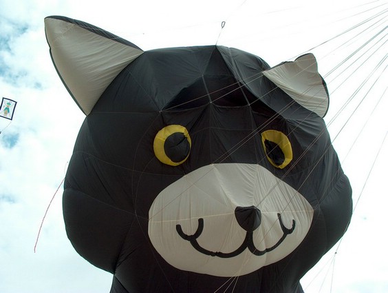 Festival (022).jpg