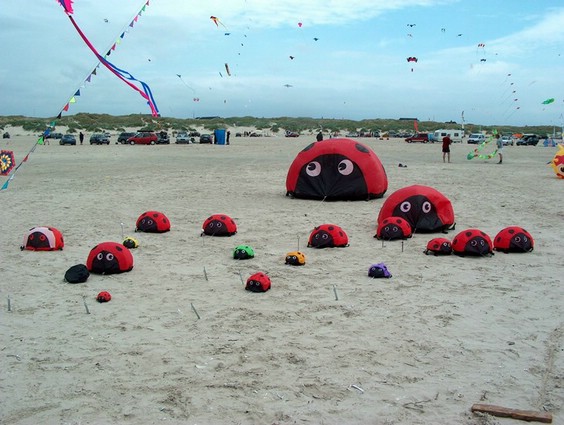 Festival (023).jpg