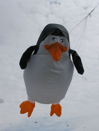 Festival (028).jpg