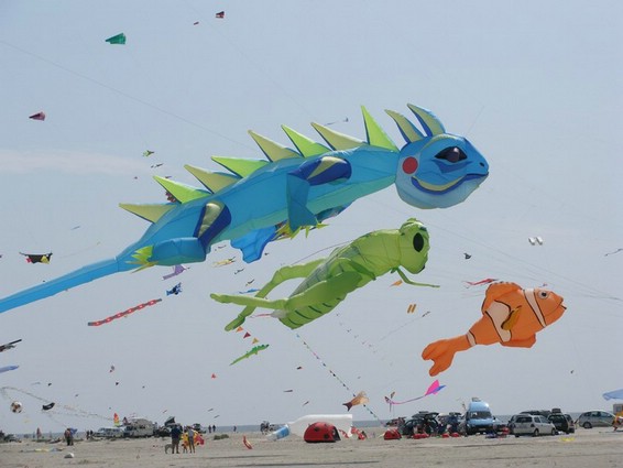 Festival (038).jpg