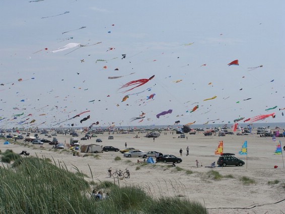 Festival (041).jpg
