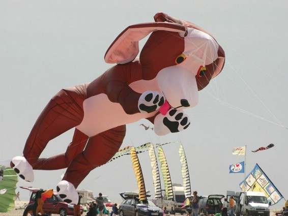 Festival (042).jpg
