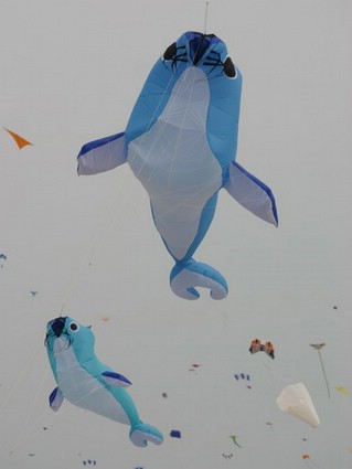 Festival (046).jpg