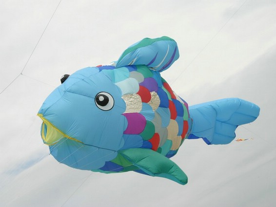 Festival (050).jpg