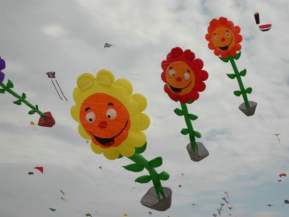 Festival (51).jpg