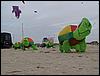 Festival (012).jpg