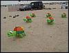 Festival (013).jpg