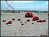 Festival (023).jpg
