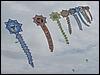 Festival (031).jpg