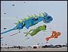 Festival (038).jpg