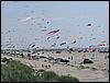 Festival (041).jpg