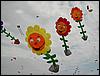 Festival (51).jpg