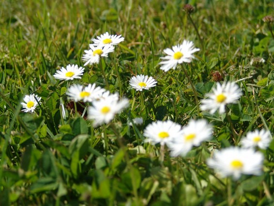 Impressionen (010).JPG