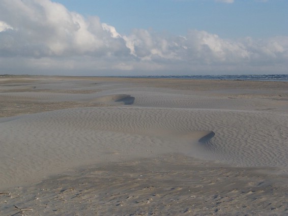 Impressionen (013).jpg