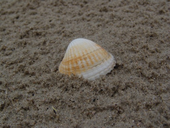 Impressionen (016).JPG