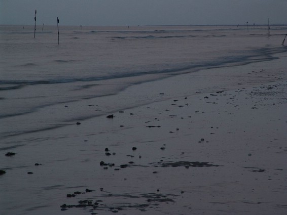 Impressionen (022).JPG