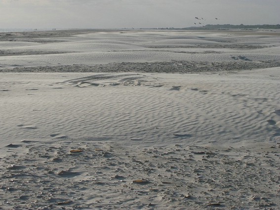 Impressionen (030).jpg