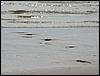 Impressionen (031).jpg