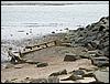 Impressionen (032).jpg