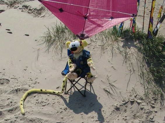 Windspiele und Stoffels (015).JPG