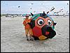 Windspiele und Stoffels (023).jpg